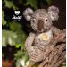 Steiff Xander Koala Bear 007422