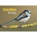 Garden Birds A4 Calendar 2024 240735