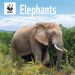 WWF Elephants Wall Calendar 2025