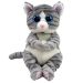 TY Mitzi Tabby Cat Beanie Bellie 40539