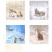 Coppenrath Cute Winter Wildlife Advent Calendar Cards 72279