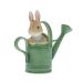 Beatrix Potter Peter in Watering Can A28296