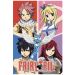 Fairy Tail Quad Maxi Poster by GB Eye FP4543 