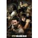 The Walking Dead Infographic Maxi Poster by GB Eye FP3734