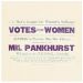 Suffragettes Votes for Women Pinnie Apron APRPSG01