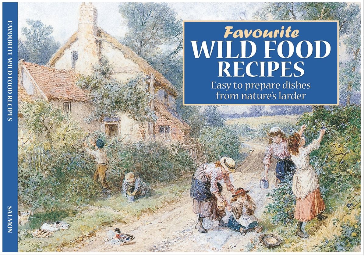 Favourite Wild Food Recipes: Easy to prepare dishes from Nature's Larder Salmon Books SA108