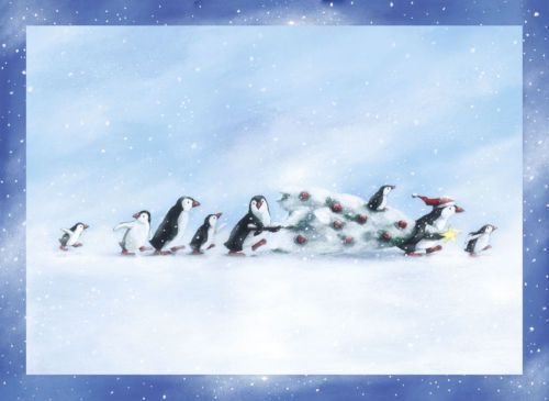 Coppenrath Penguins Christmas Story Traditional Advent Calendar ACL4723 