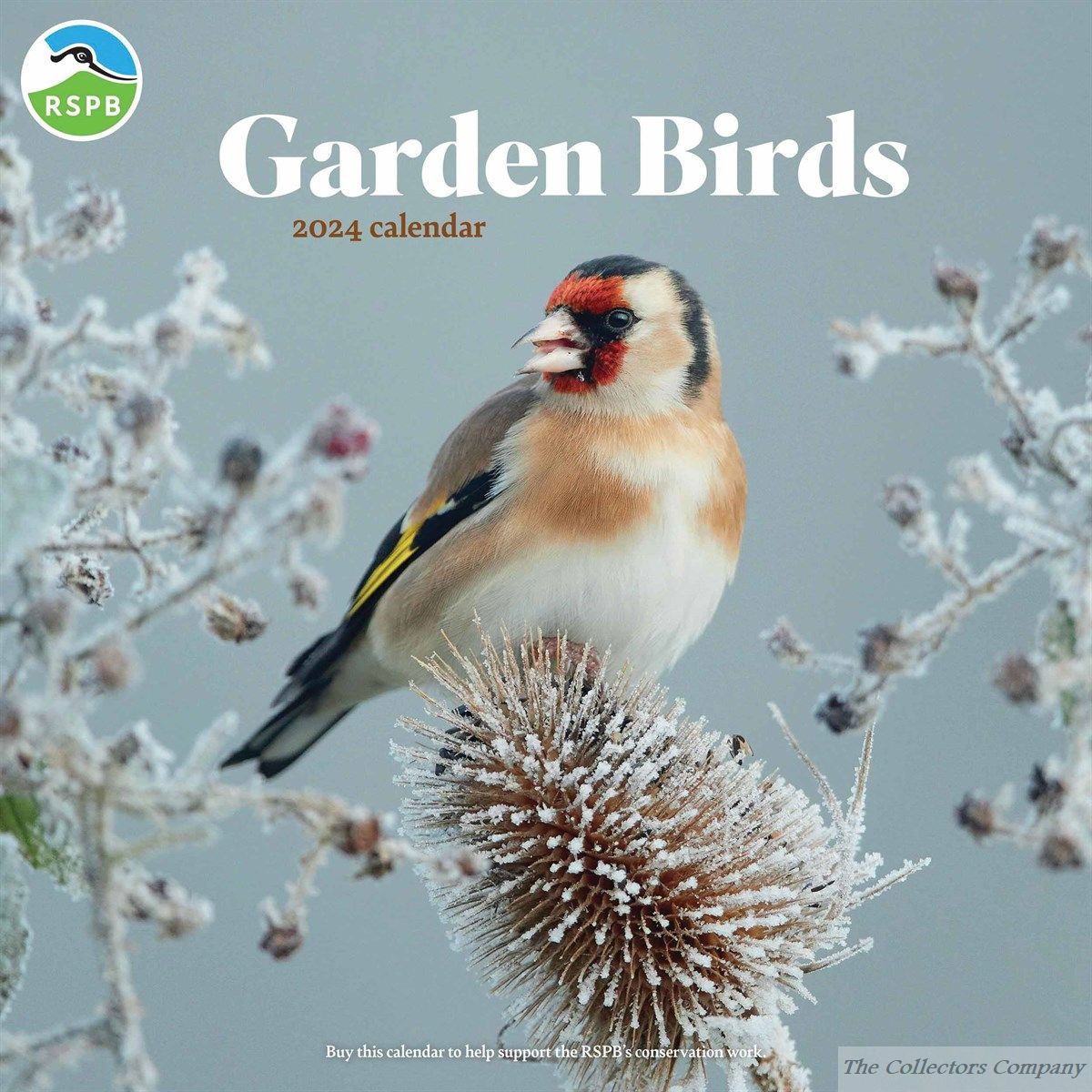 RSPB Garden Birds Wall Calendar 2024
