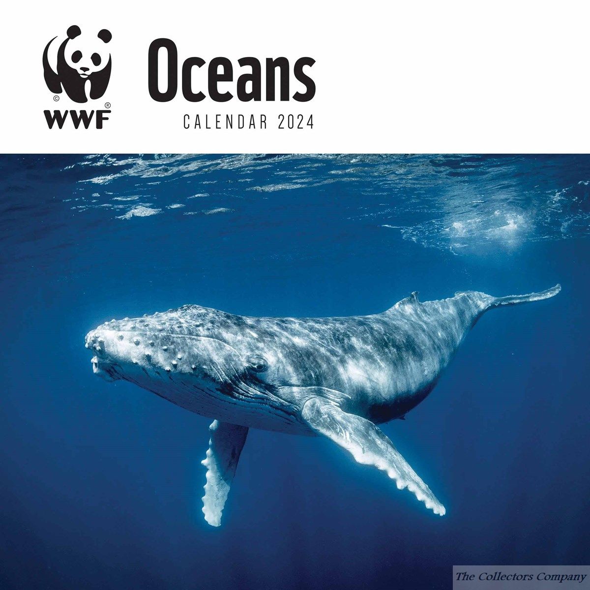 WWF Oceans 2024 Calendar 240231