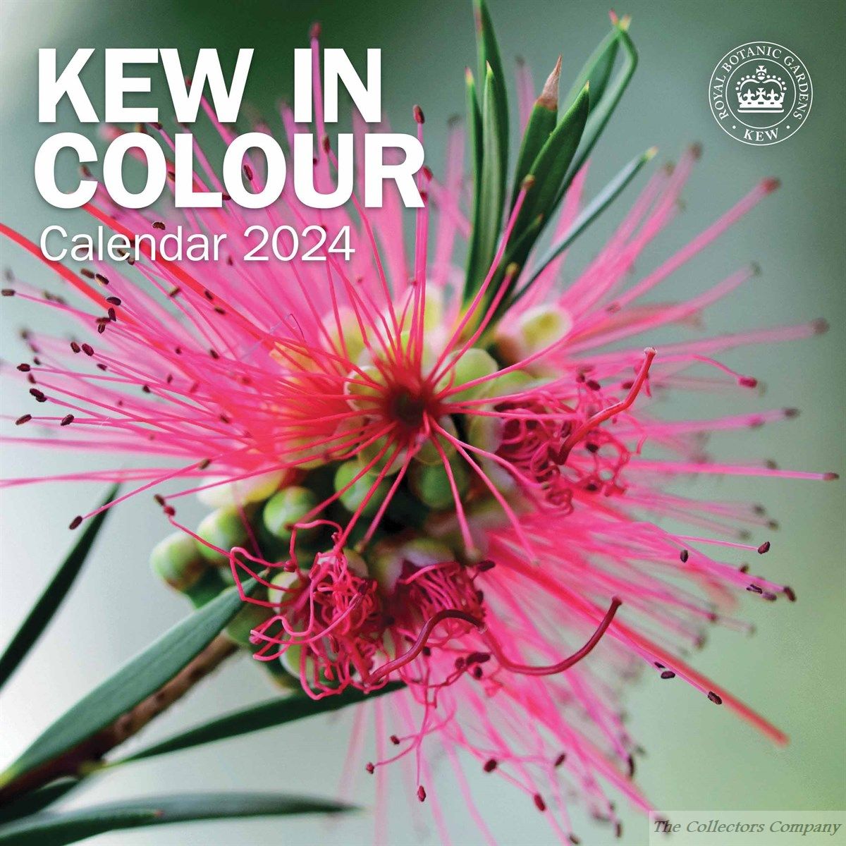 Royal Botanic Gardens Kew, Kew in Colour 2024 Wall Calendar 