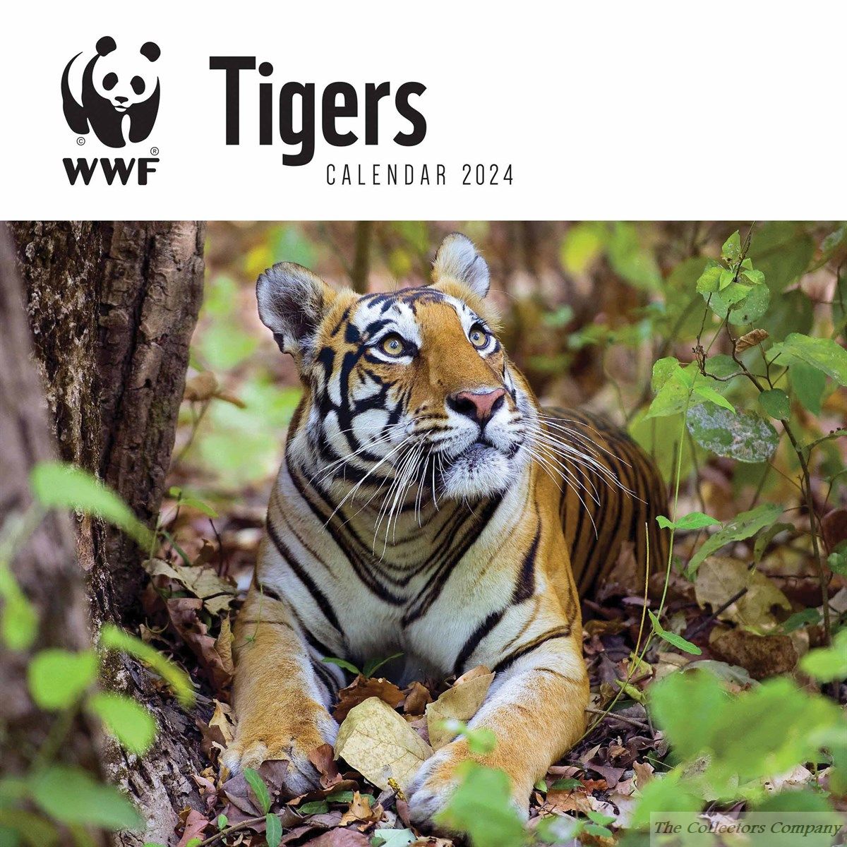 WWF Tigers 2024 Calendar 240249