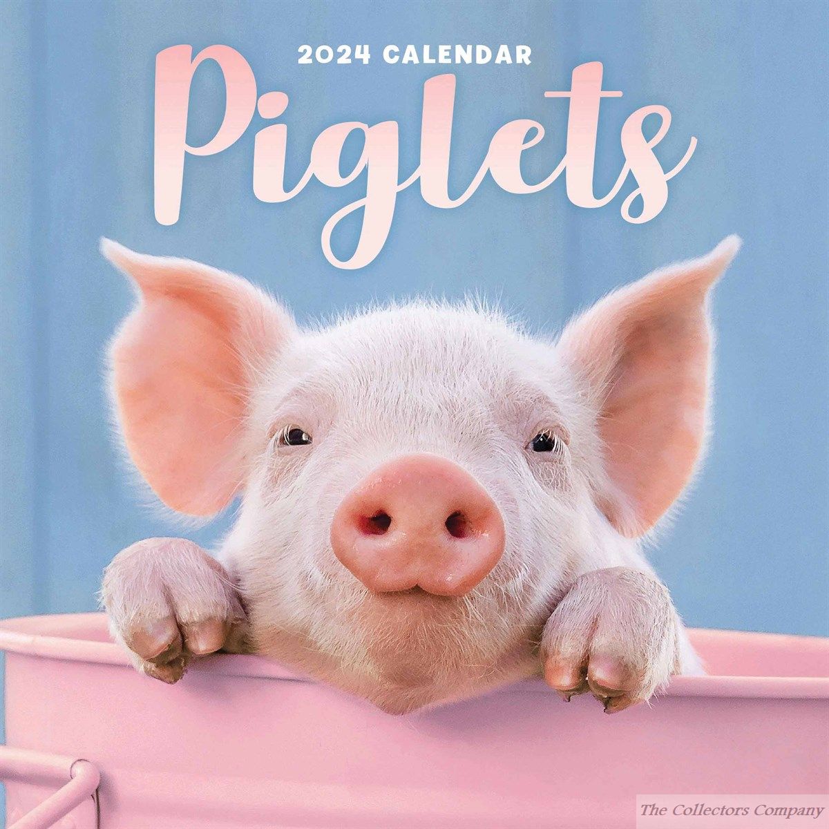 Piglets Mini Calendar 2024 