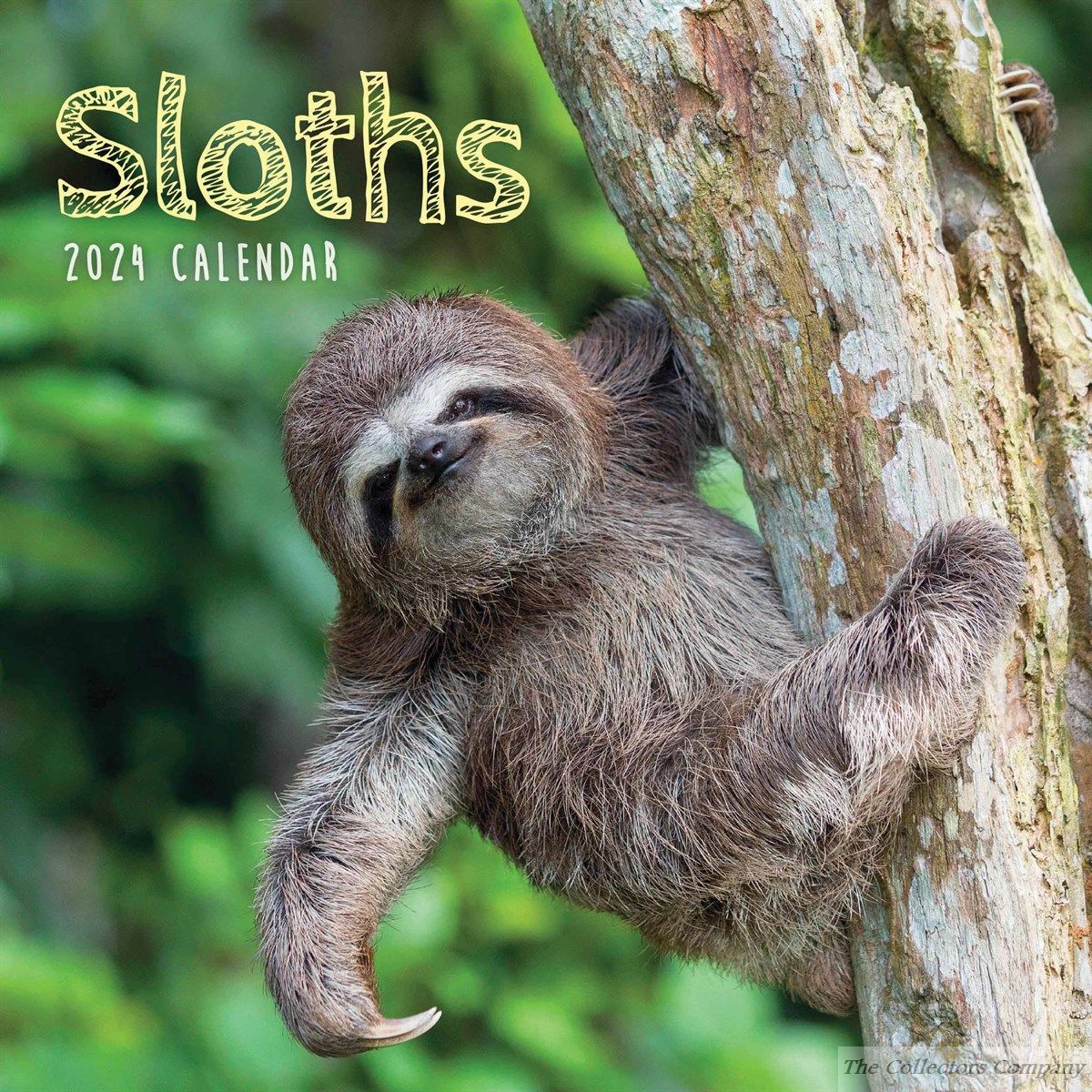 Sloths 2024 Mini Calendar 240498