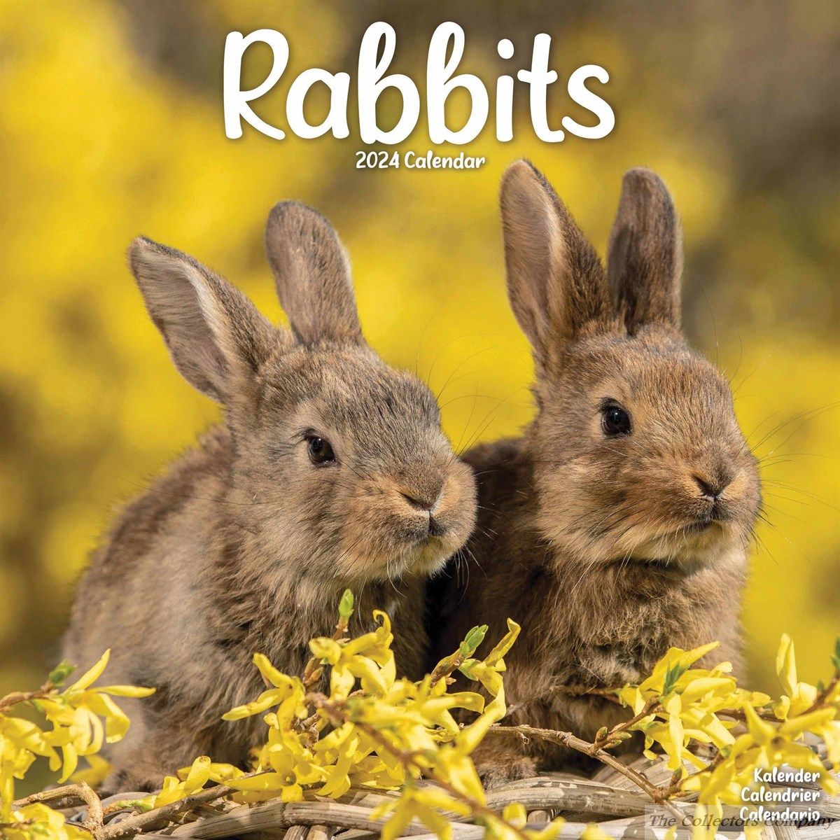Rabbits 2024 Calendar 240654