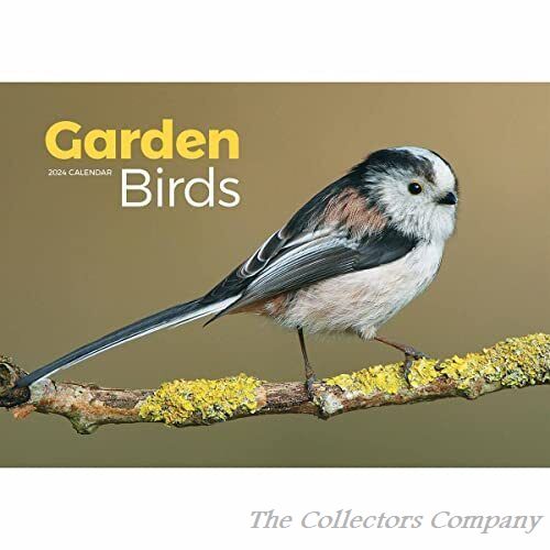 Garden Birds A4 Calendar 2024 240735