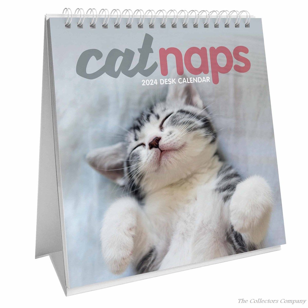 Cat Naps Easel Desk Calendar 2024 