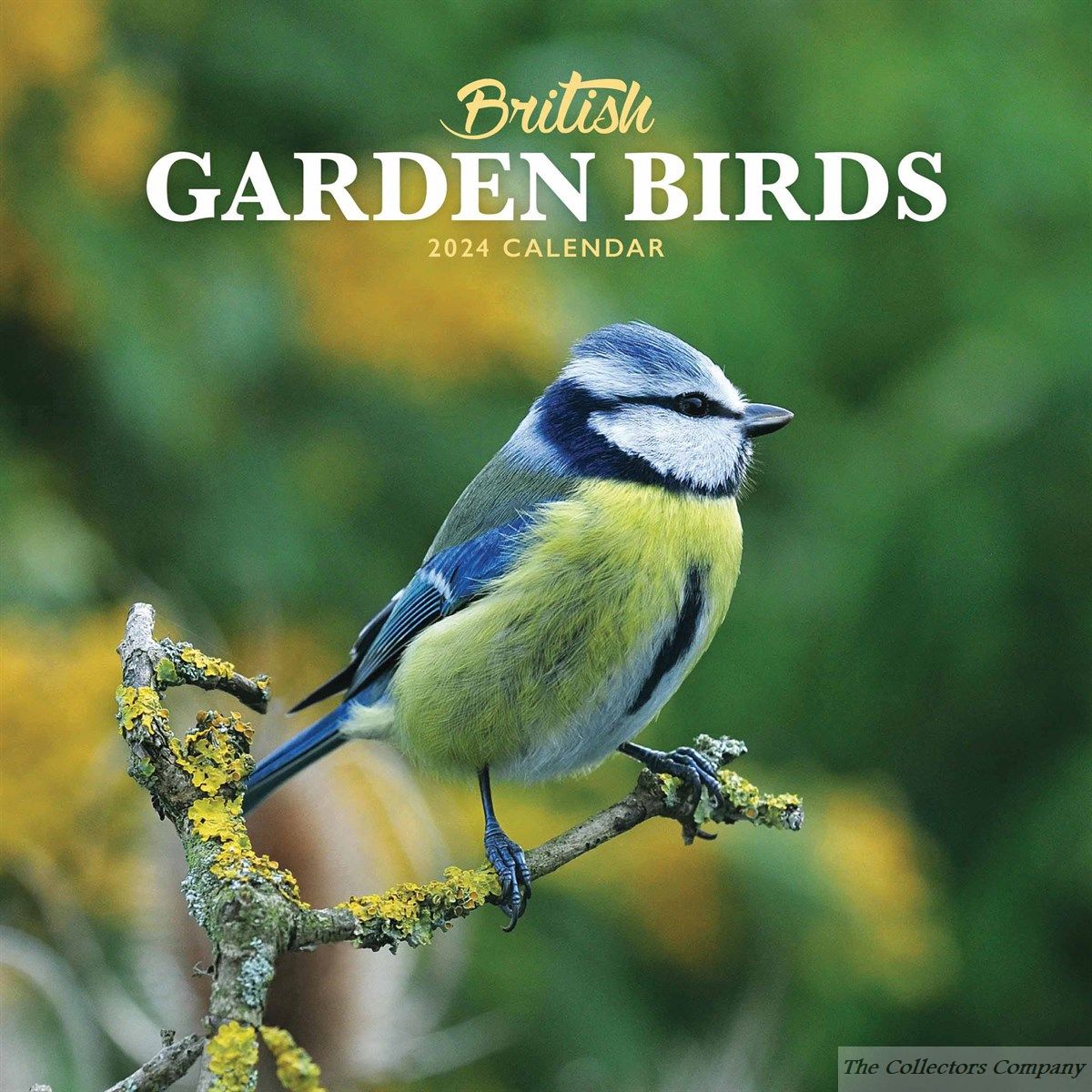 British Garden Birds Mini Calendar 2024 