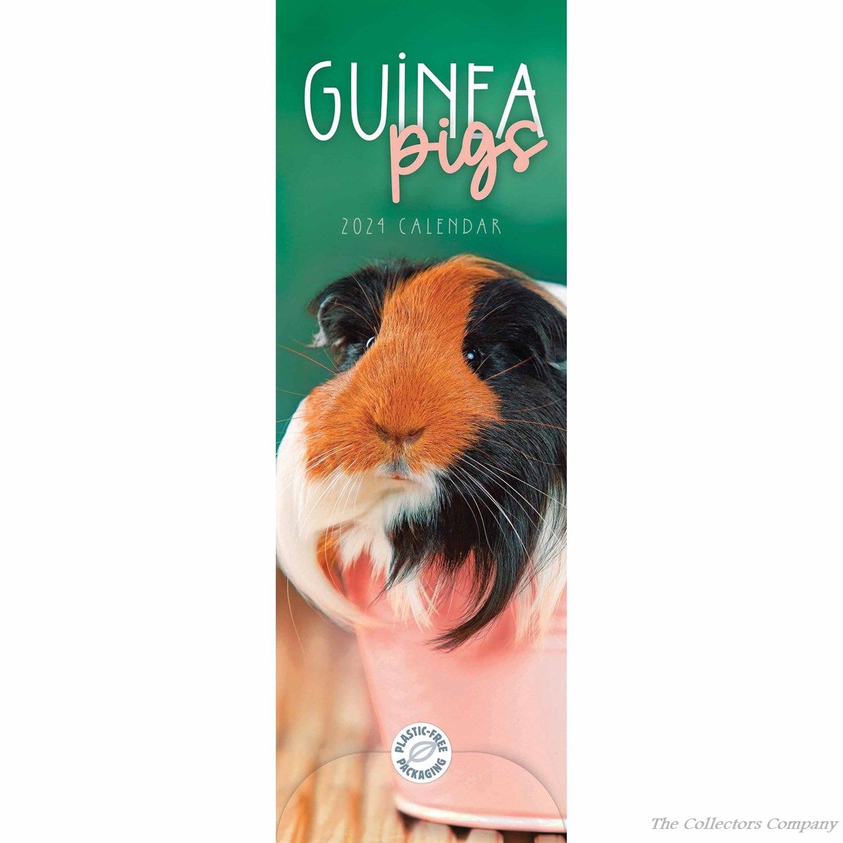 Guinea Pigs Slim 2024 Calendar 240762