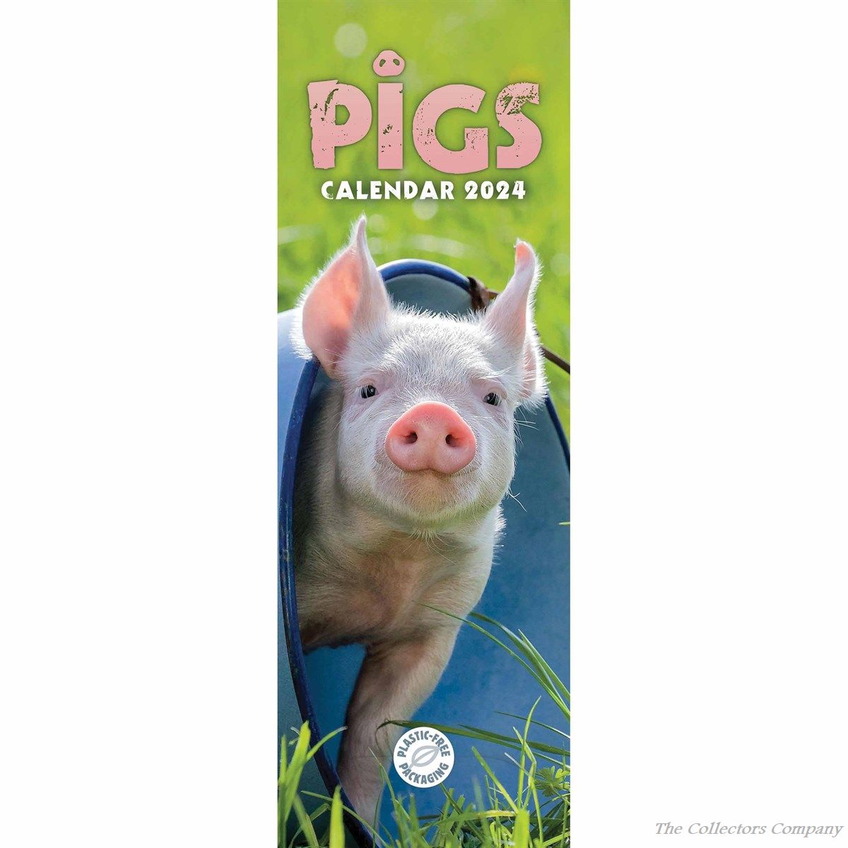 Pigs Slim Calendar 2024 