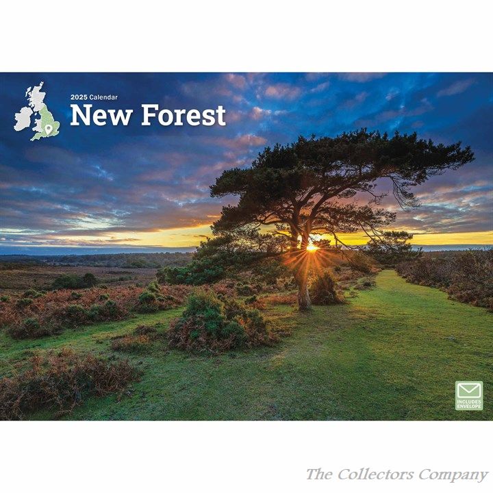 New Forest A4 Calendar 2025