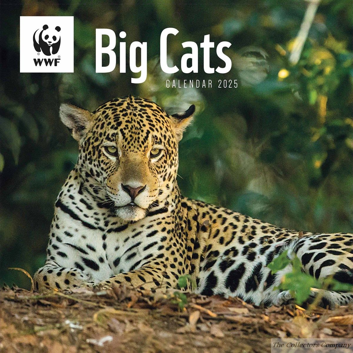 WWF Big Cats Wall Calendar 2025