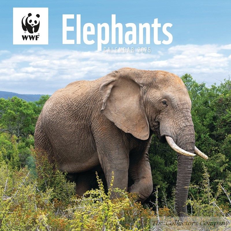 WWF Elephants Wall Calendar 2025