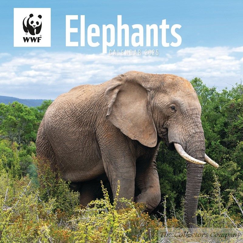 WWF Elephants Wall Calendar 2025, Carousel Calendars 250126 Wwf Desk Calendar 2025
