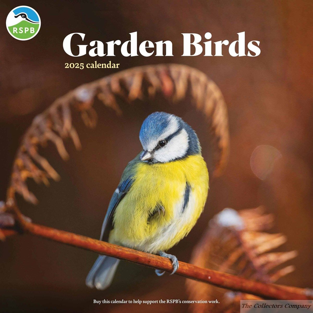 RSPB Garden Birds Wall Calendar 2025