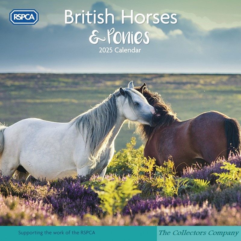 RSPCA British Horses & Ponies Wall Calendar 2025