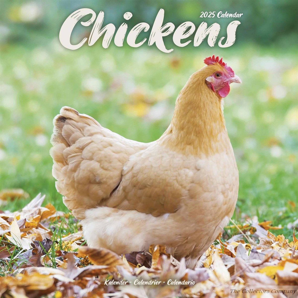 Chickens Wall Calendar 2025