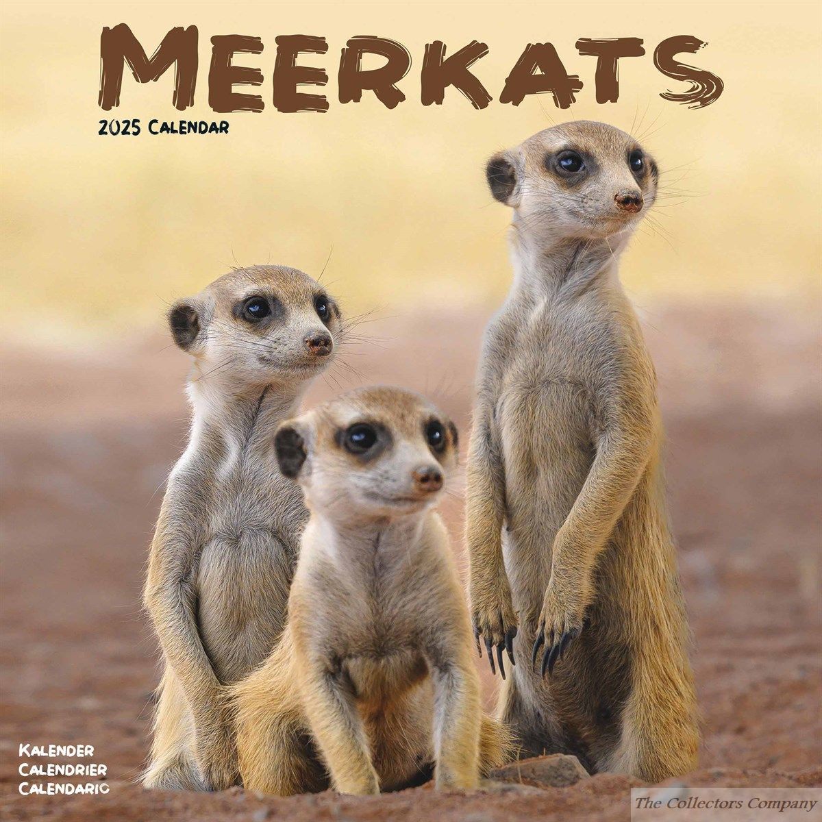Meerkats Wall Calendar 2025