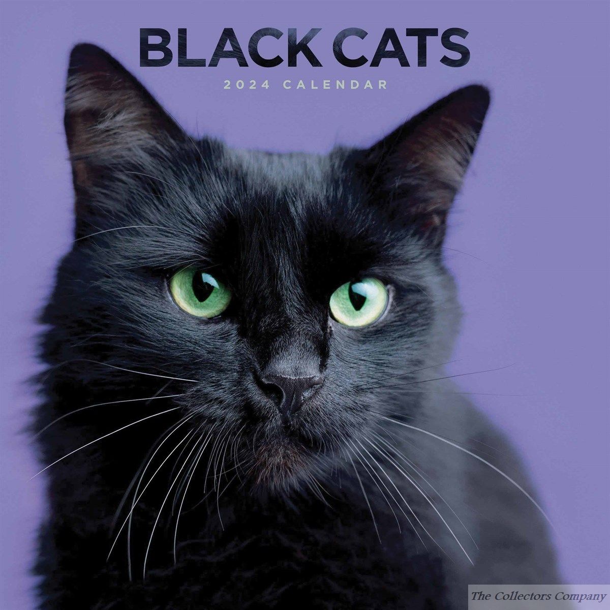 Black Cats Calendar 2024