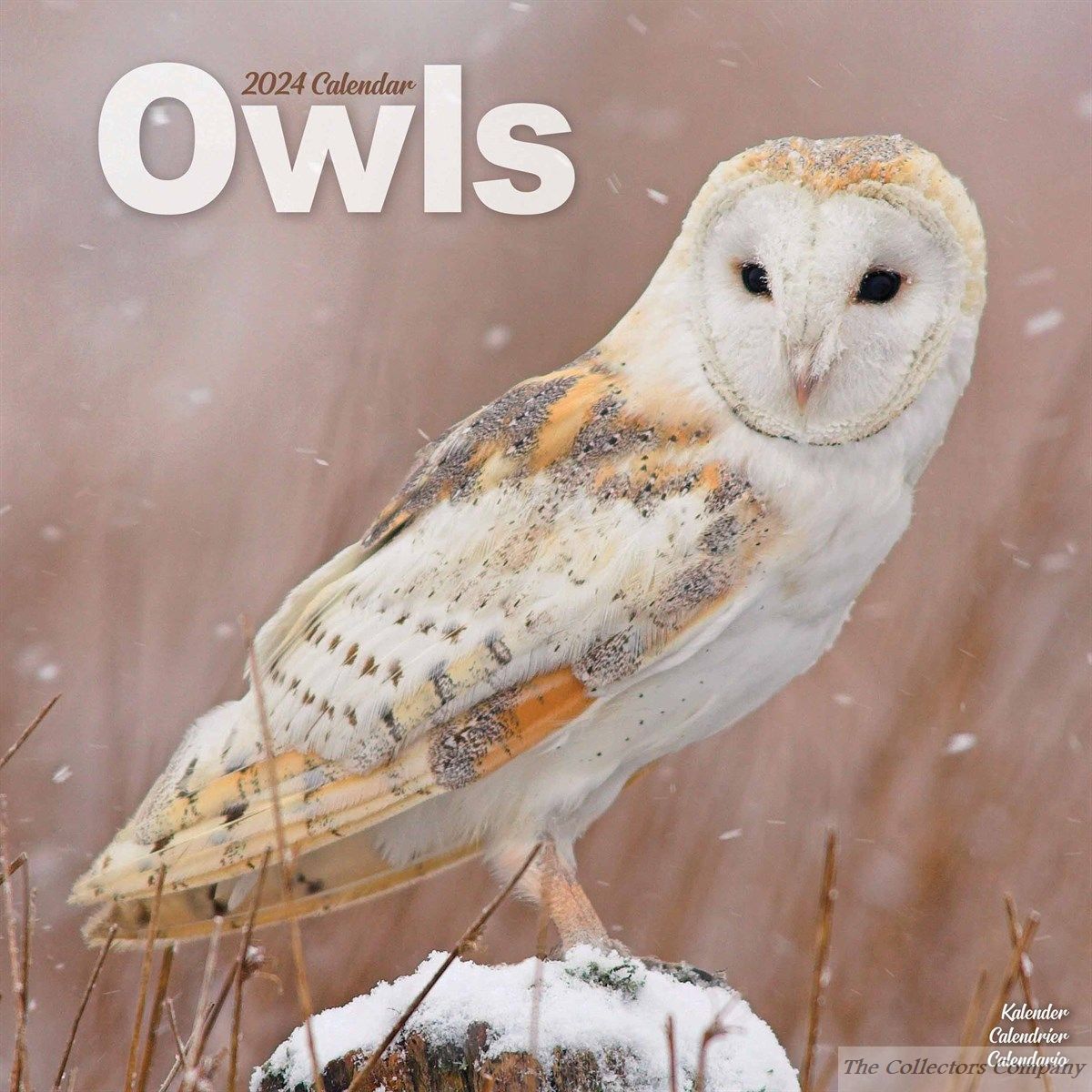 Owls 2024 Calendar 240648