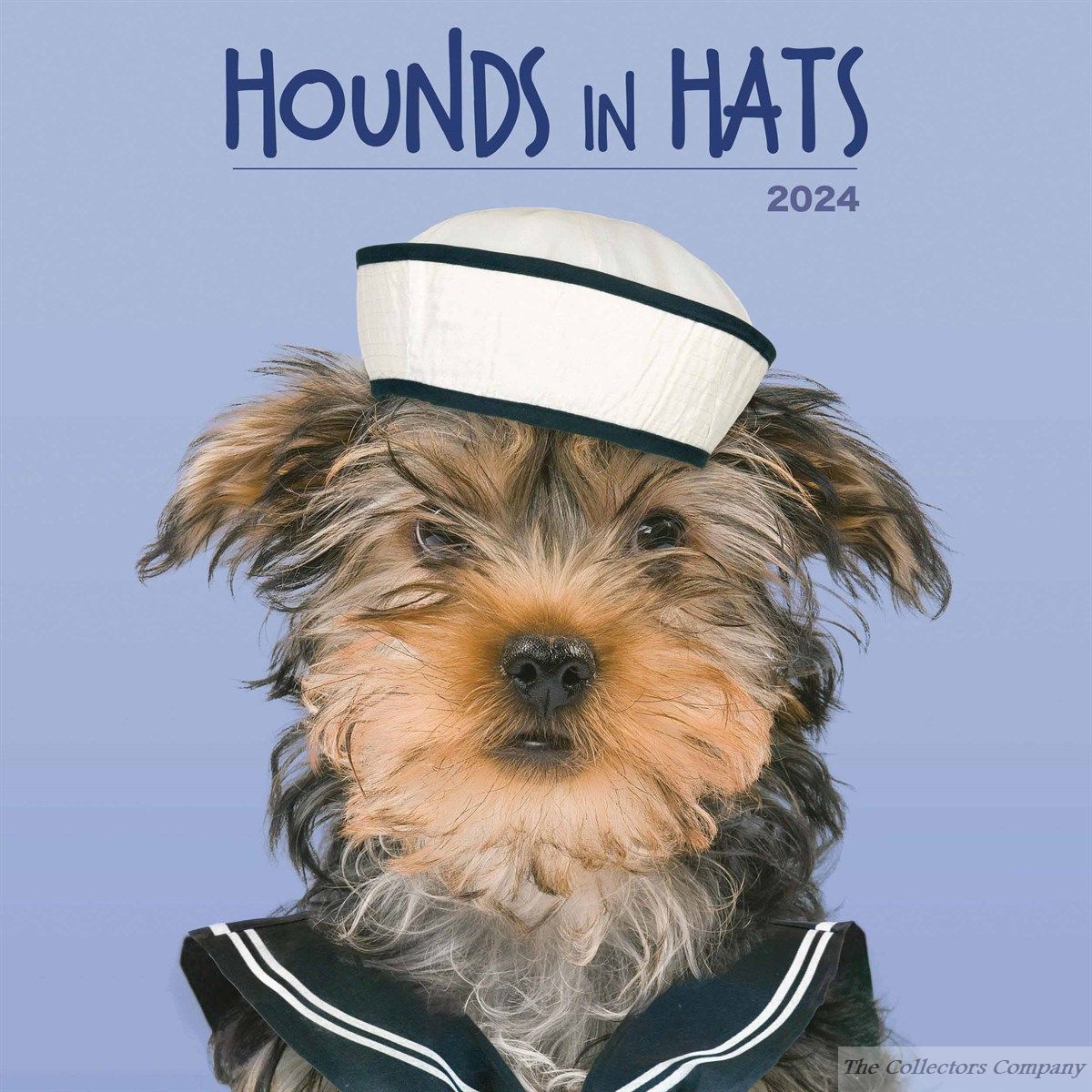 hounds-in-hats-wall-calendar-2024-by-maverick-publishing-240838
