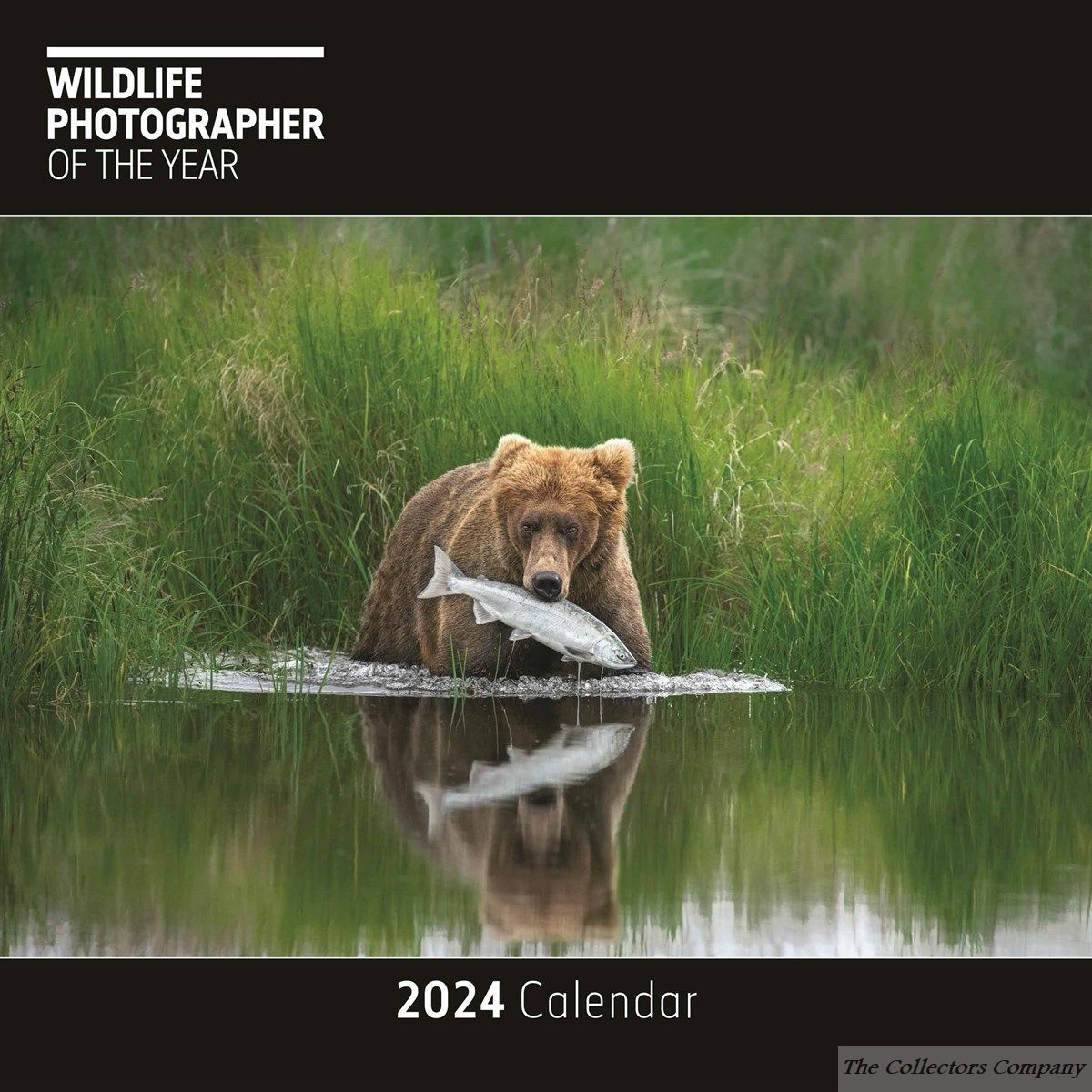 Wildlife Photographer of the Year Calendar 2024 