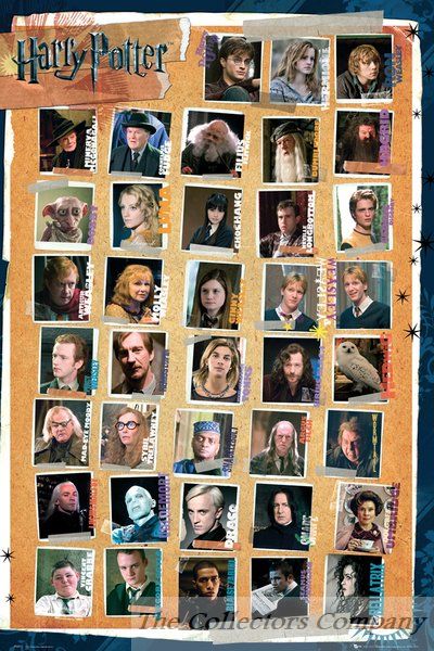 Harry Potter Characters GB Eye Maxi Poster FP2513