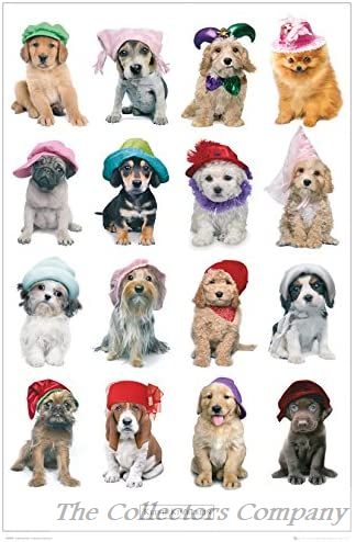 Keith Kimberlin Dogs in Hats Poster GN0534