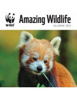 WWF Amazing Wildlife Calendar 2024 240197