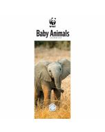 WWF Baby Animals Slim Calendar 2024 