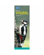 RSPCA British Wildlife 2024 Slim Calendar 240450