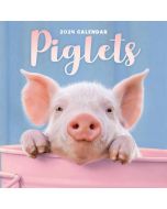 Piglets Mini Calendar 2024 