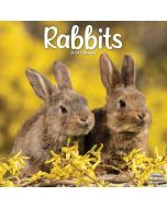 Rabbits 2024 Calendar 240654
