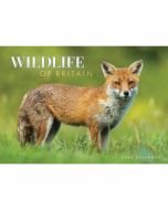 Wildlife of Britain A4 Calendar 2024