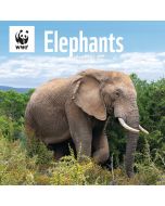 WWF Elephants Wall Calendar 2025, Carousel Calendars 250126