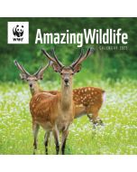 WWF Amazing Wildlife Calendar 2025, Carousel Calendars 250185