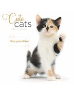 Cute Cats Wall Calendar 2024