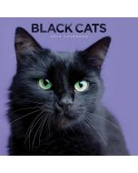 Black Cats Calendar 2024