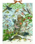 Birds in Winter Coppenrath Advent Calendar 95252