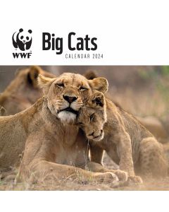 WWF Big Cats Wall Calendar 2024