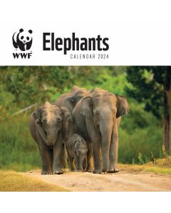 WWF Elephants Wall Calendar 2024